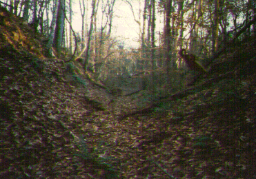 Great Wagon Road near the Shallow Ford